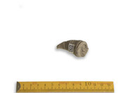 F 00079
<br/>
<br/>
<em></em>